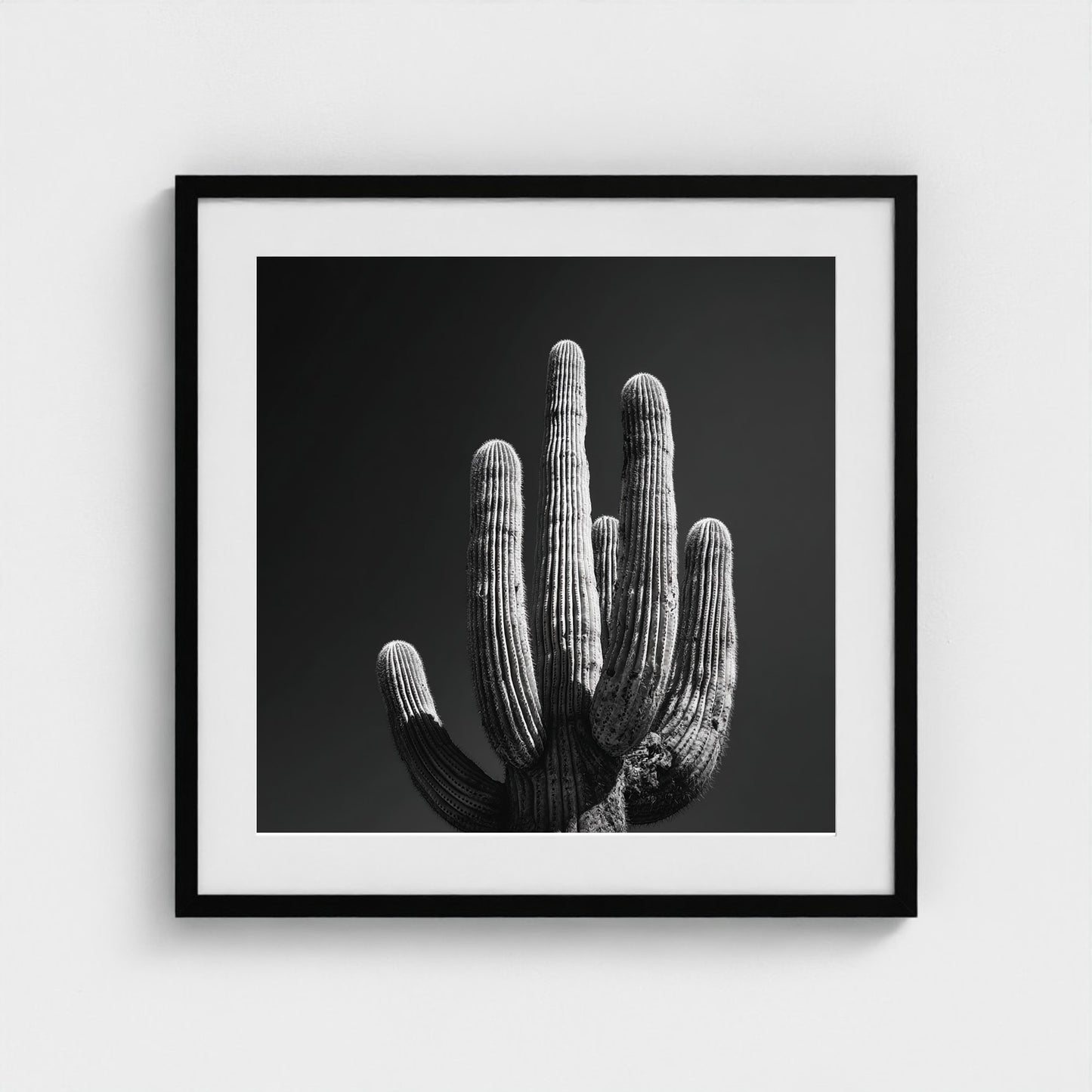 timeless-black-and-white-fine-art-desert-cactus 24x24-black frame frame