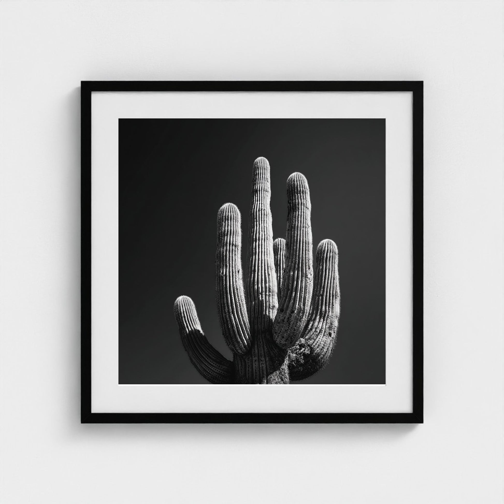 timeless-black-and-white-fine-art-desert-cactus 24x24-black frame frame