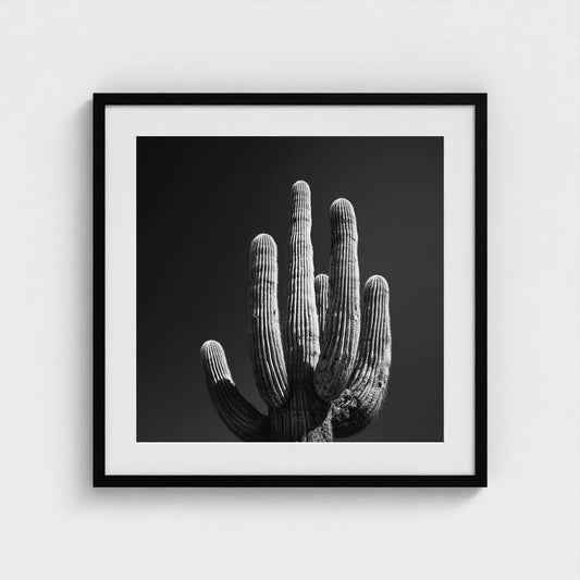 timeless-black-and-white-fine-art-desert-cactus 24x24-black frame frame