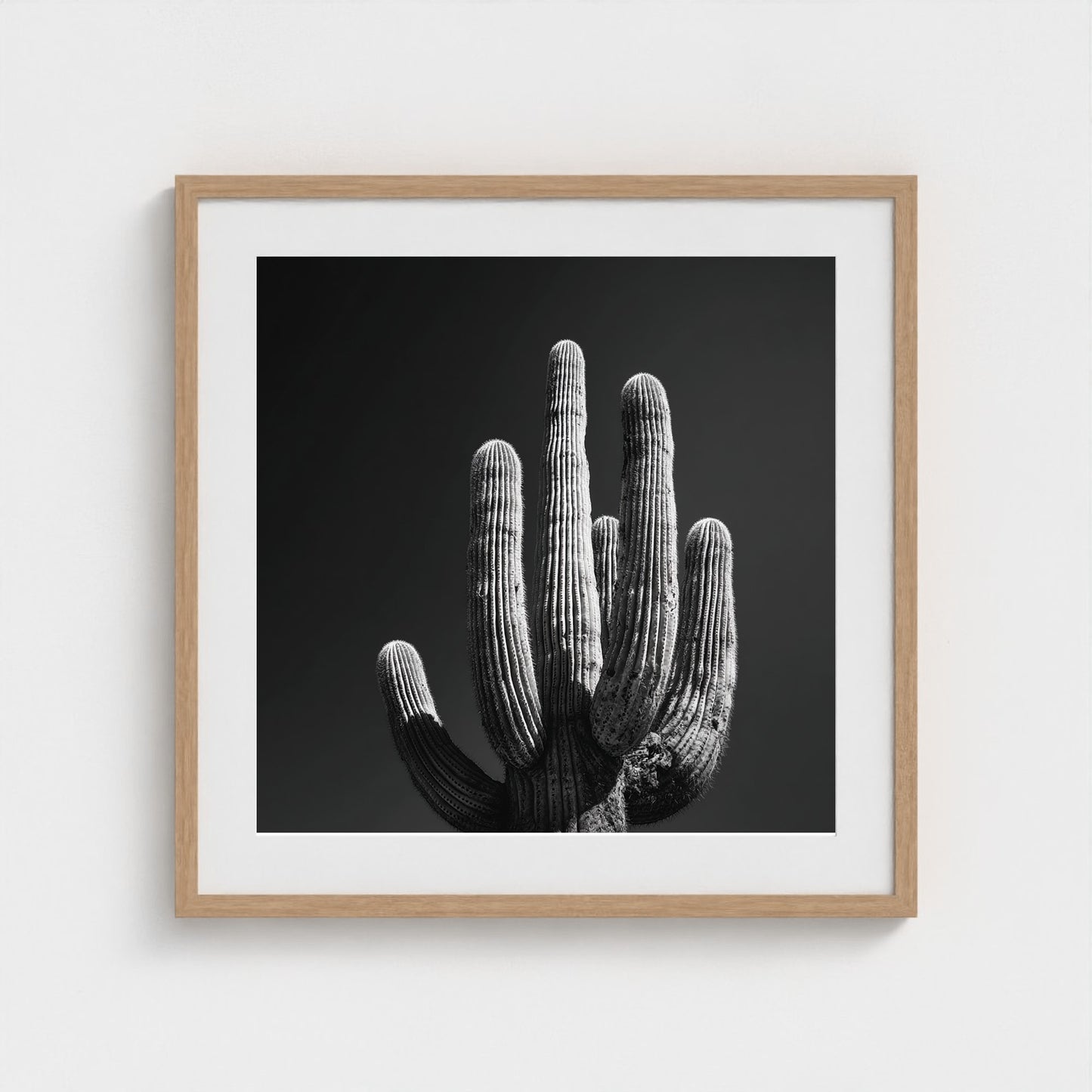timeless-black-and-white-fine-art-desert-cactus 24x24-natural frame frame