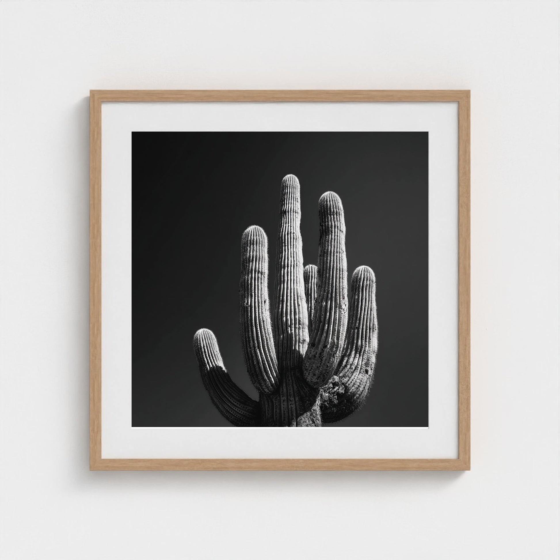 timeless-black-and-white-fine-art-desert-cactus 24x24-natural frame frame