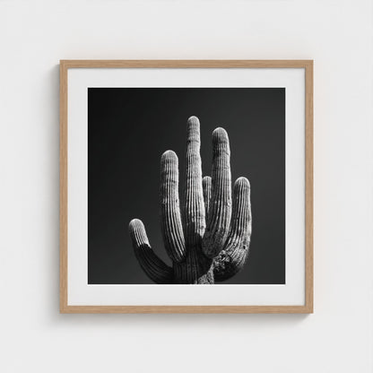 timeless-black-and-white-fine-art-desert-cactus 24x24-natural frame frame