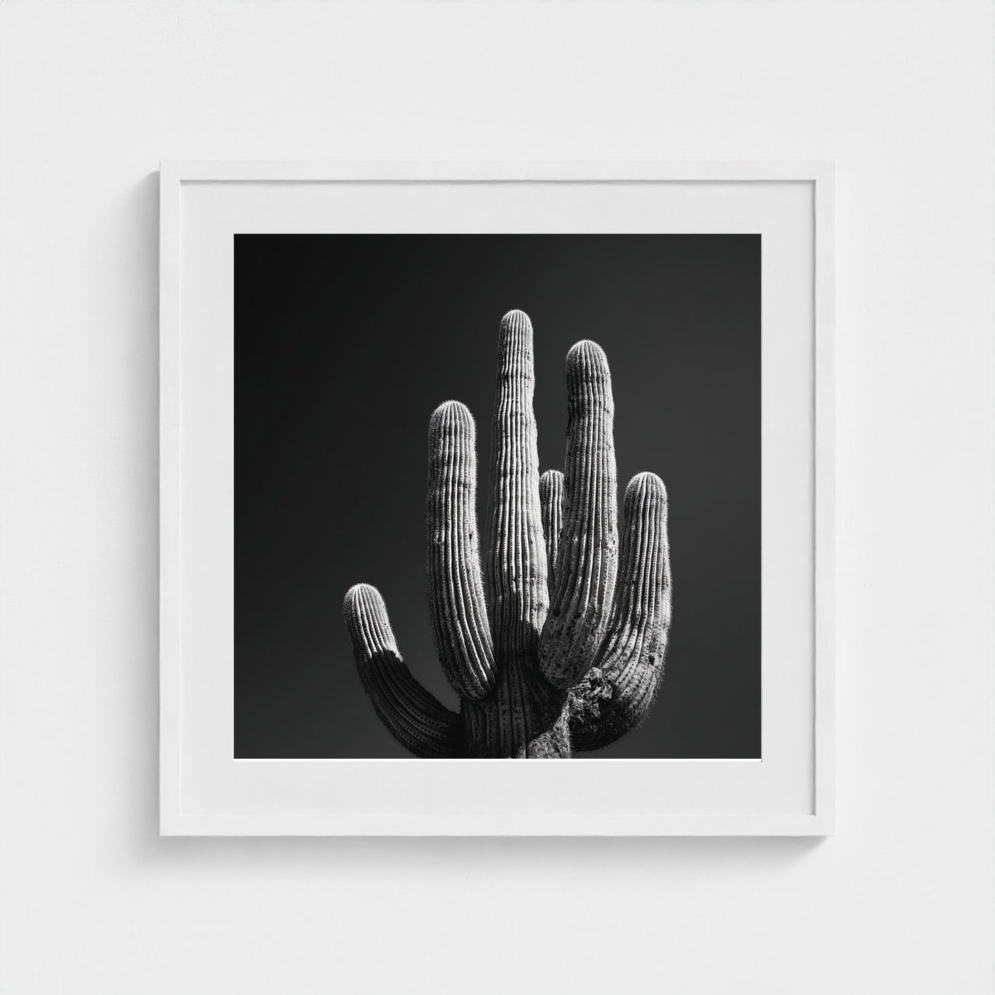 timeless-black-and-white-fine-art-desert-cactus 24x24-white frame frame