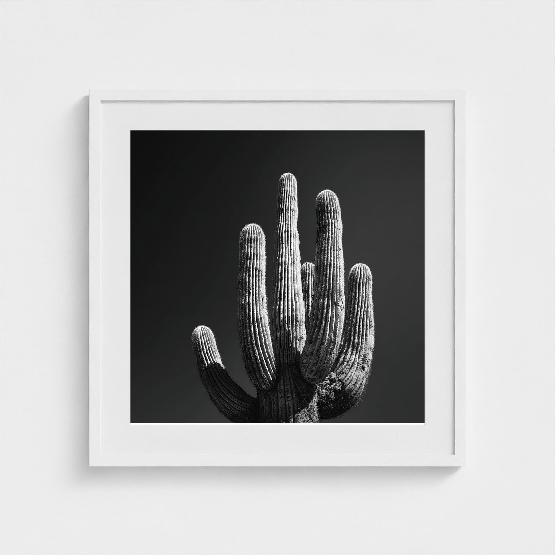 timeless-black-and-white-fine-art-desert-cactus 24x24-white frame frame