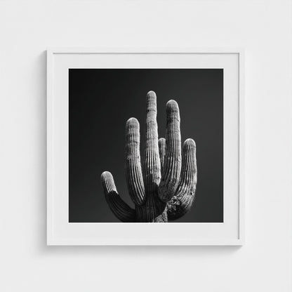timeless-black-and-white-fine-art-desert-cactus 24x24-white frame frame