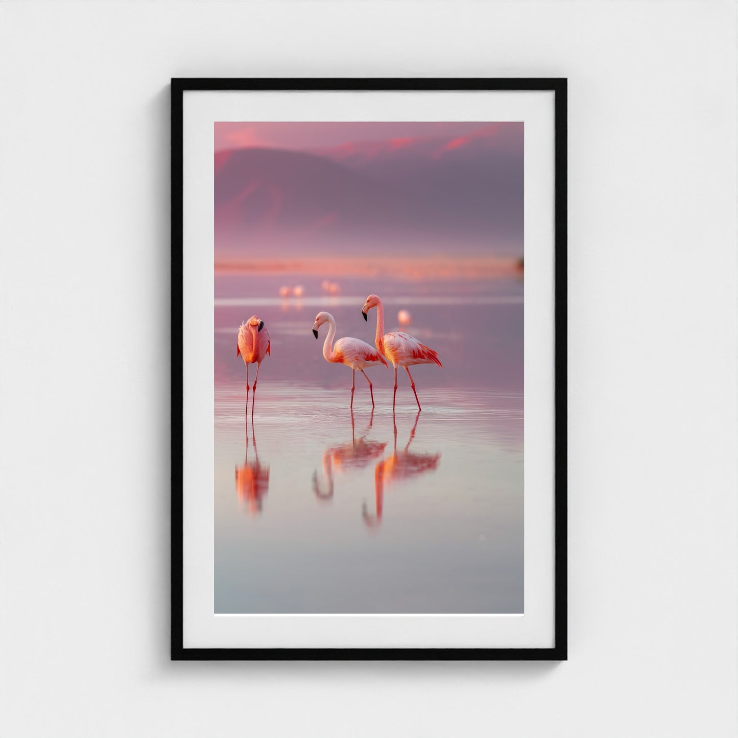 flamingos-in-shallow-pastel-water-soft-reflectio 24x36-black frame frame