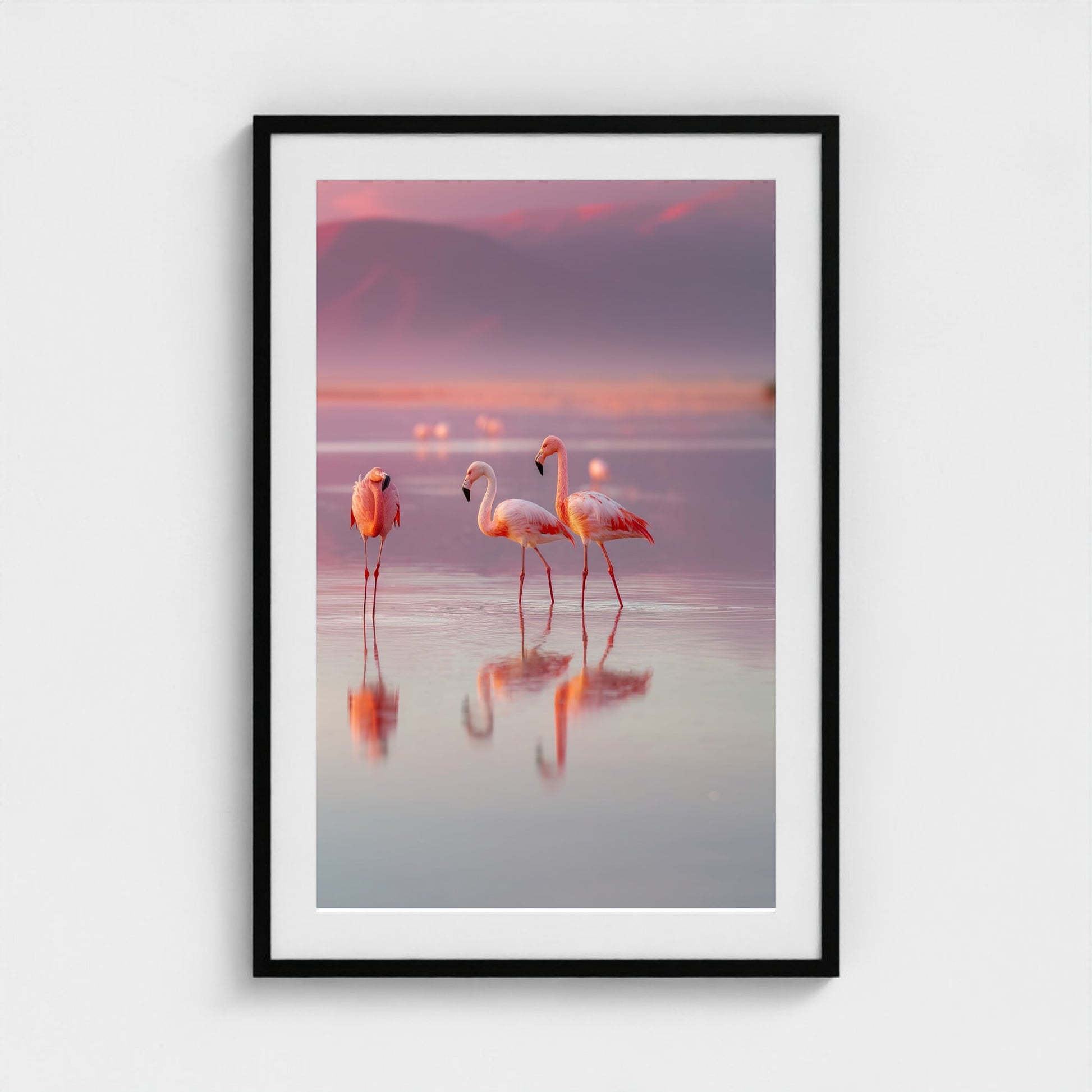 flamingos-in-shallow-pastel-water-soft-reflectio 24x36-black frame frame