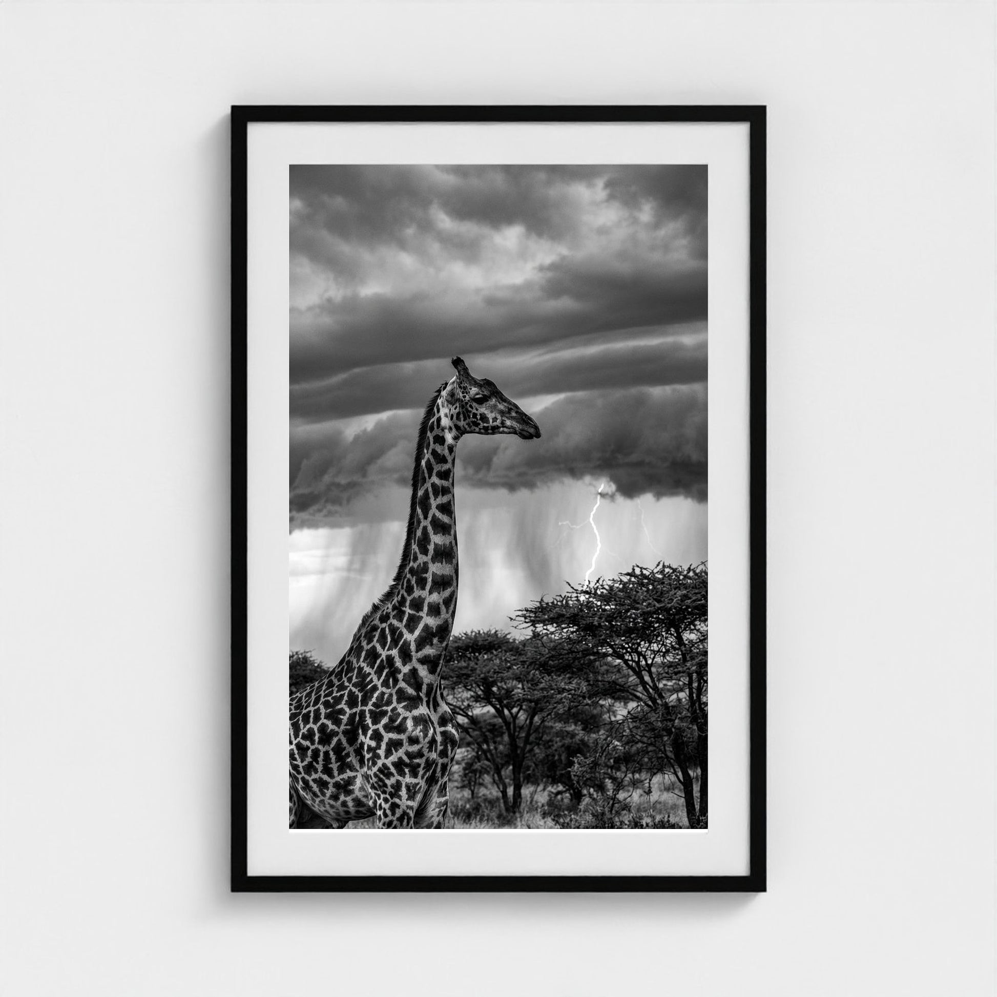 lone-giraffe 24x36-black frame frame