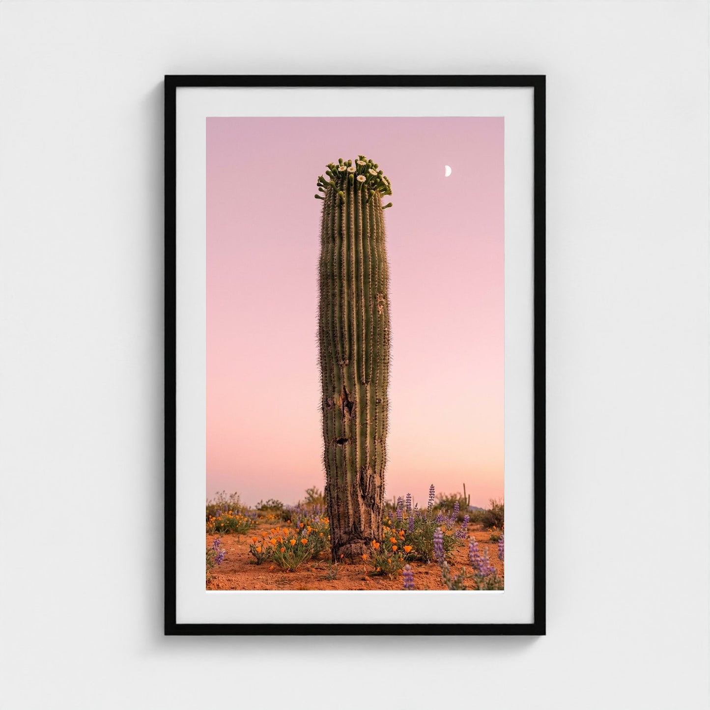 cactus-pink 24x36-black frame frame