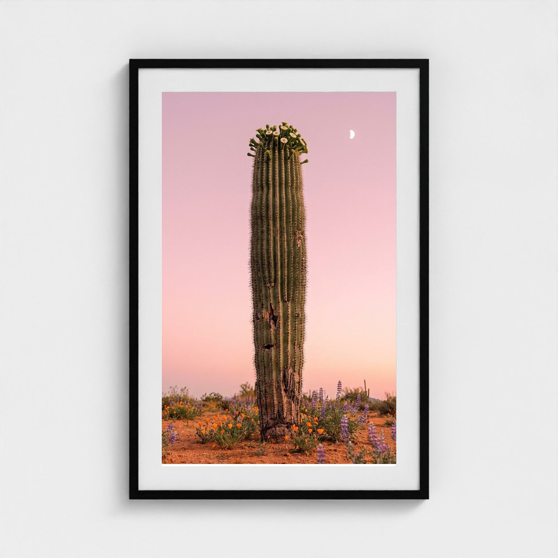 cactus-pink 24x36-black frame frame