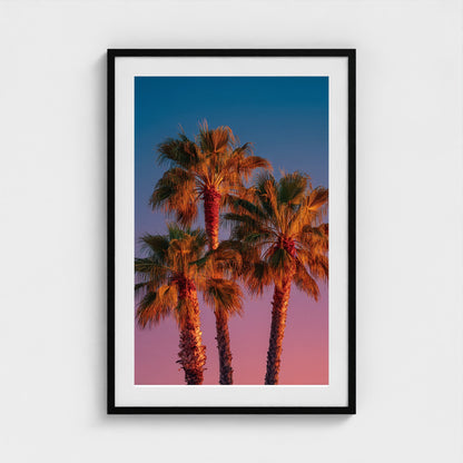 palm-trees-against-sunset-gradient-sky-minimal-f 24x36-black frame frame