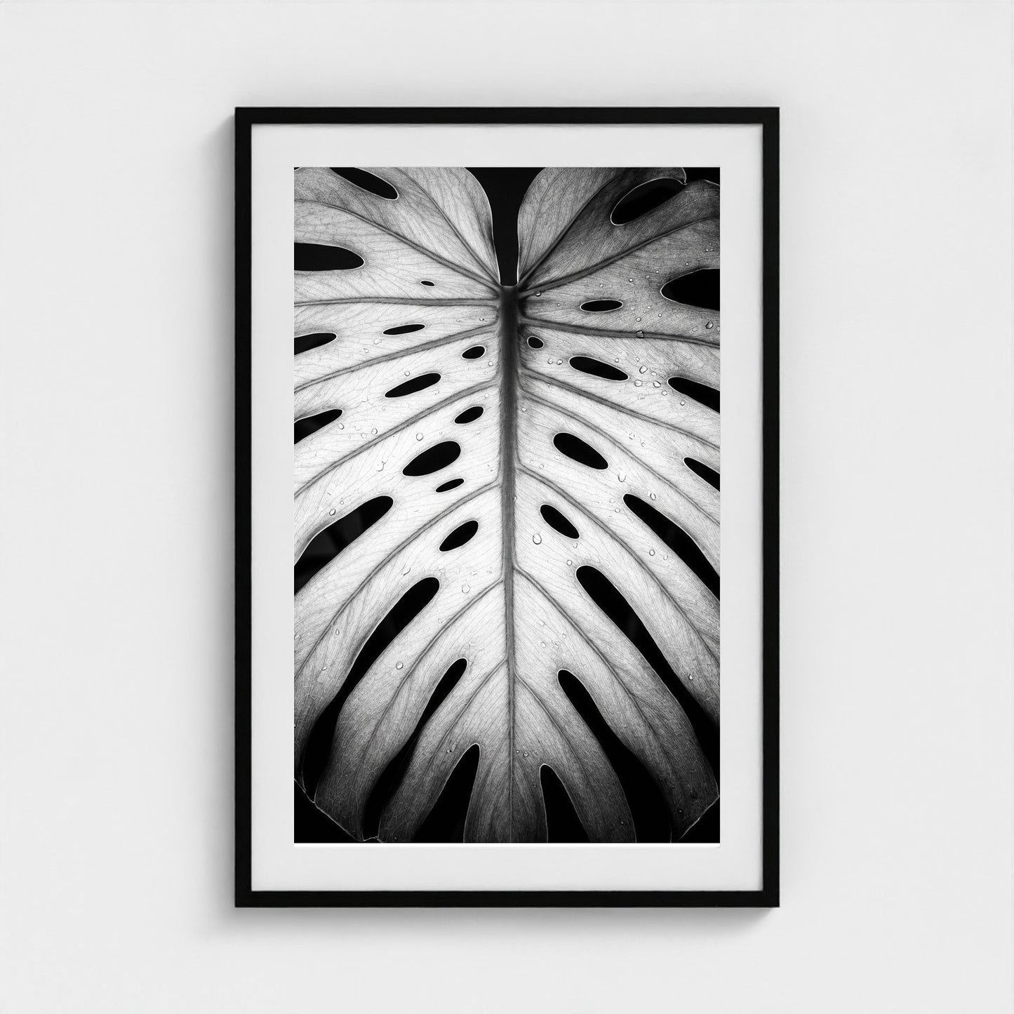 bw-monstera-light 24x36-black frame frame