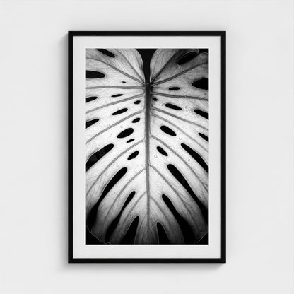 bw-monstera-light 24x36-black frame frame