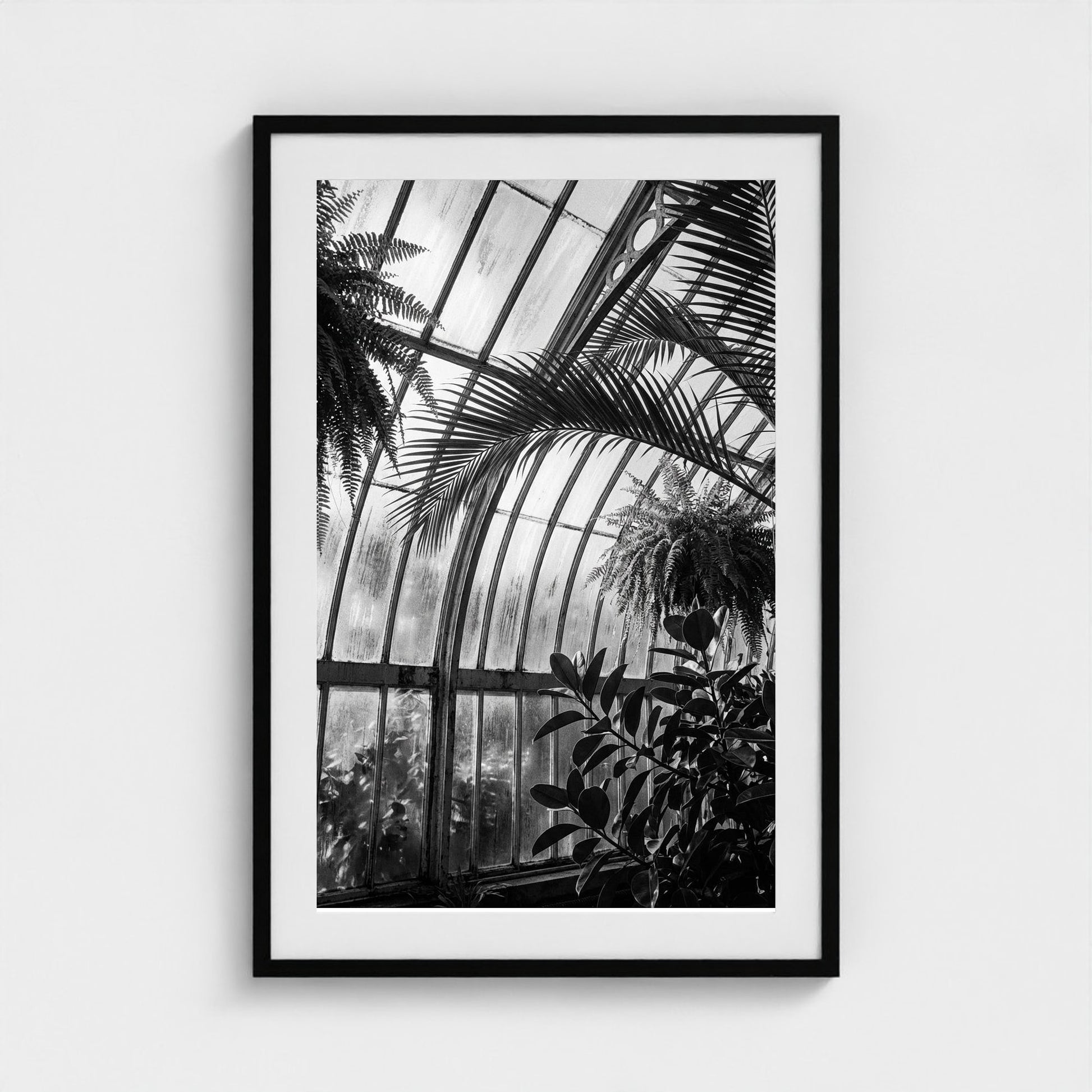 greenhouse 24x36-black frame frame