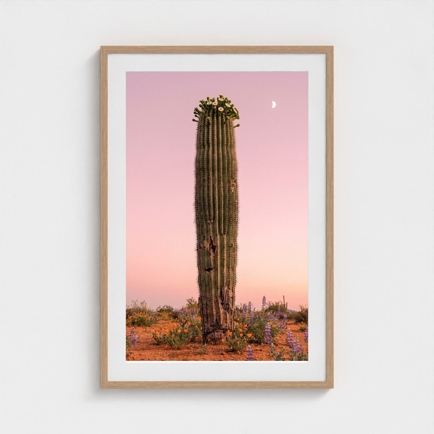 cactus-pink 24x36-natural frame frame