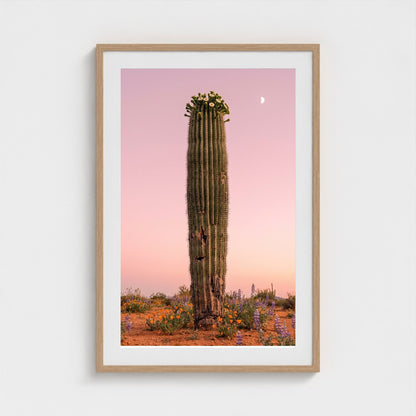 cactus-pink 24x36-natural frame frame