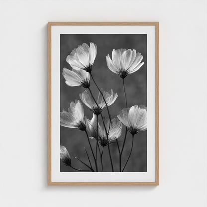 x-ray-floral-study-skeletal-petals-and-stems-lum 24x36-natural frame frame
