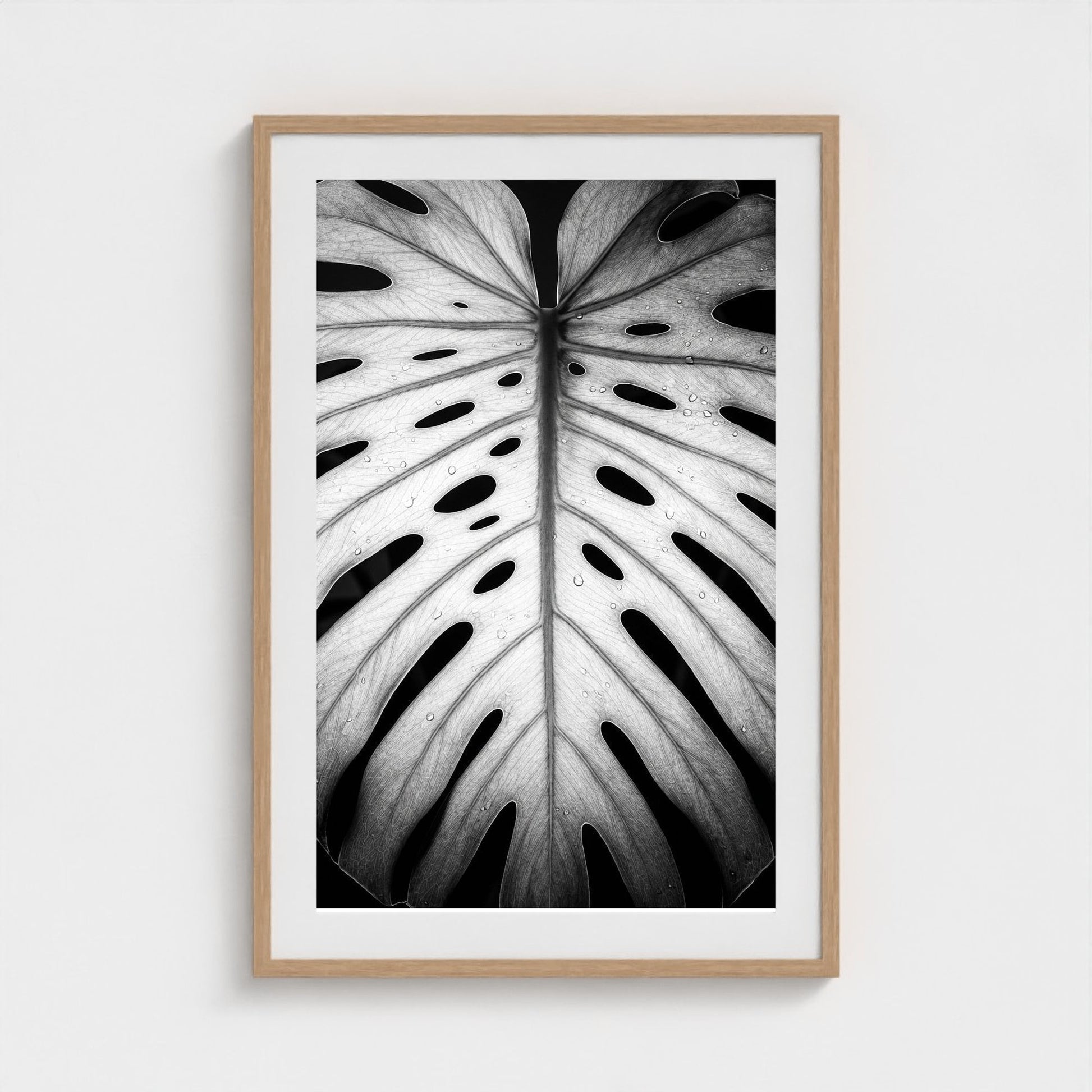 bw-monstera-light 24x36-natural frame frame