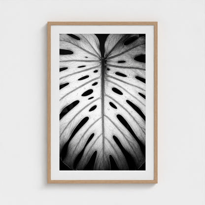 bw-monstera-light 24x36-natural frame frame