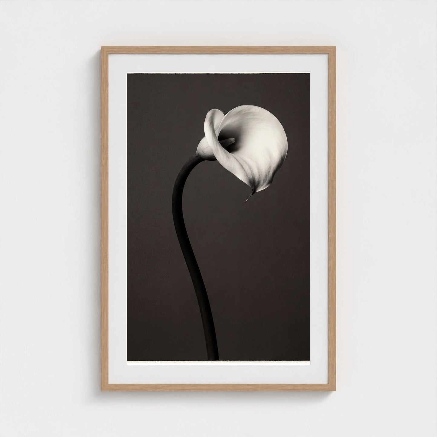 Calla Lily Wall Art — Monochrome Botanical Photography