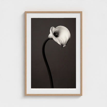 Calla Lily Wall Art — Monochrome Botanical Photography