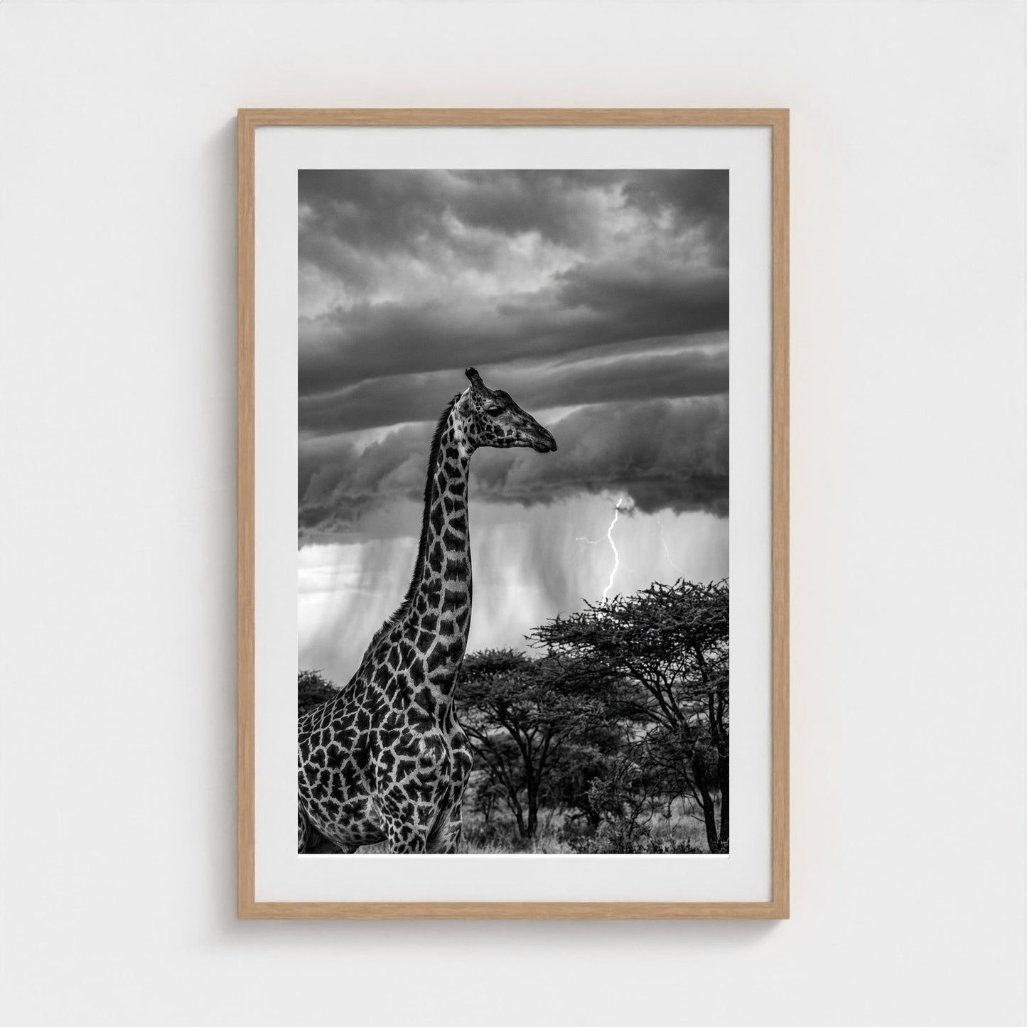 lone-giraffe 24x36-natural frame frame