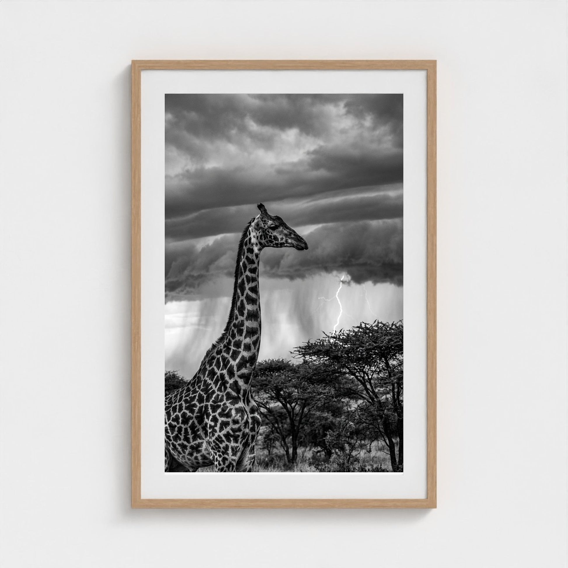 lone-giraffe 24x36-natural frame frame