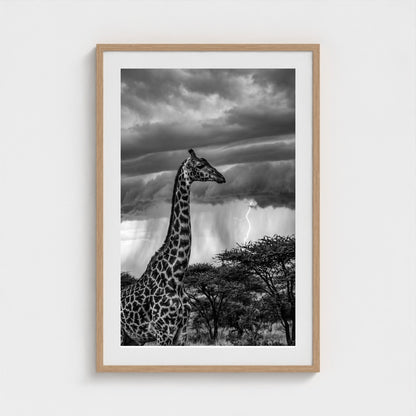 lone-giraffe 24x36-natural frame frame