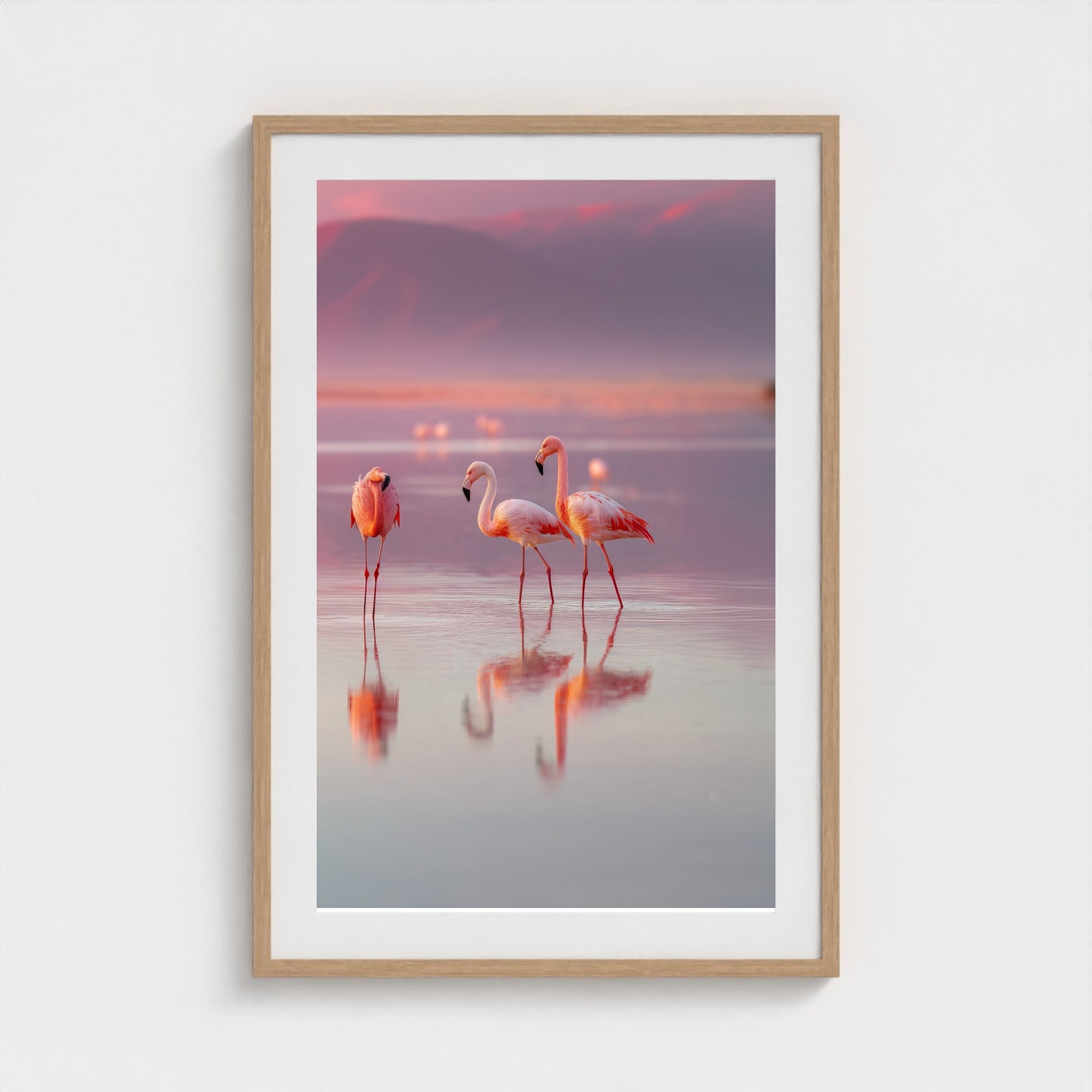 flamingos-in-shallow-pastel-water-soft-reflectio 24x36-natural frame frame