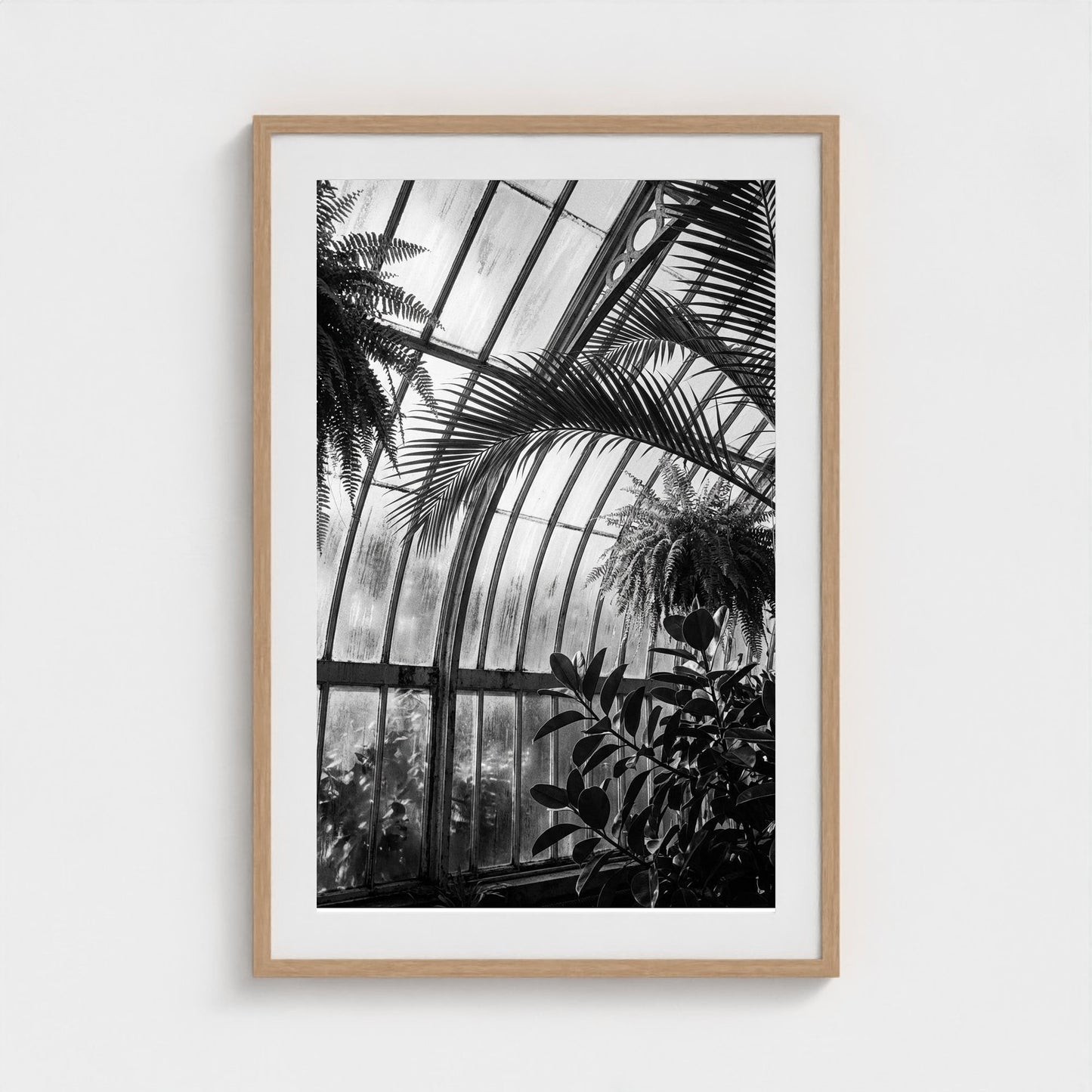 greenhouse 24x36-natural frame frame