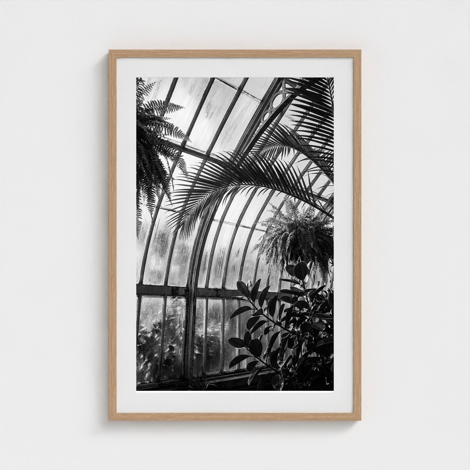 greenhouse 24x36-natural frame frame