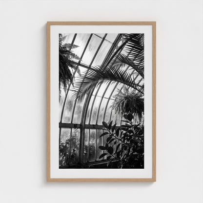greenhouse 24x36-natural frame frame