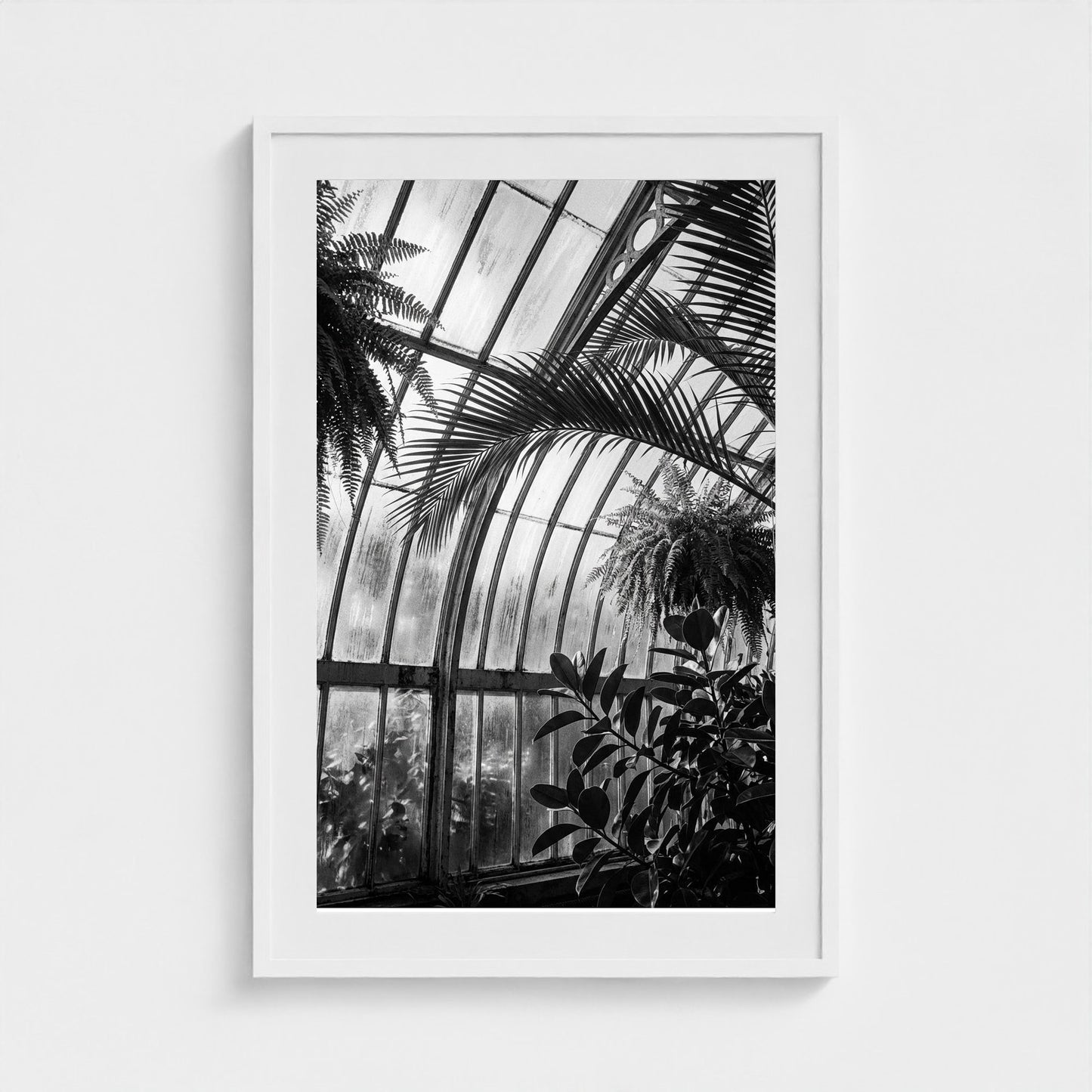 greenhouse 24x36-white frame frame