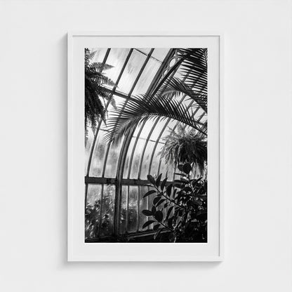 greenhouse 24x36-white frame frame
