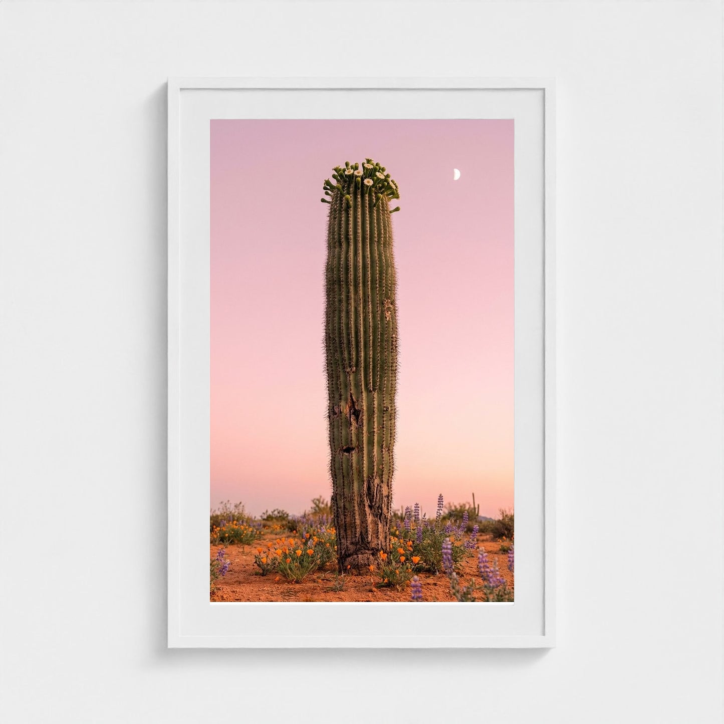 cactus-pink 24x36-white frame frame