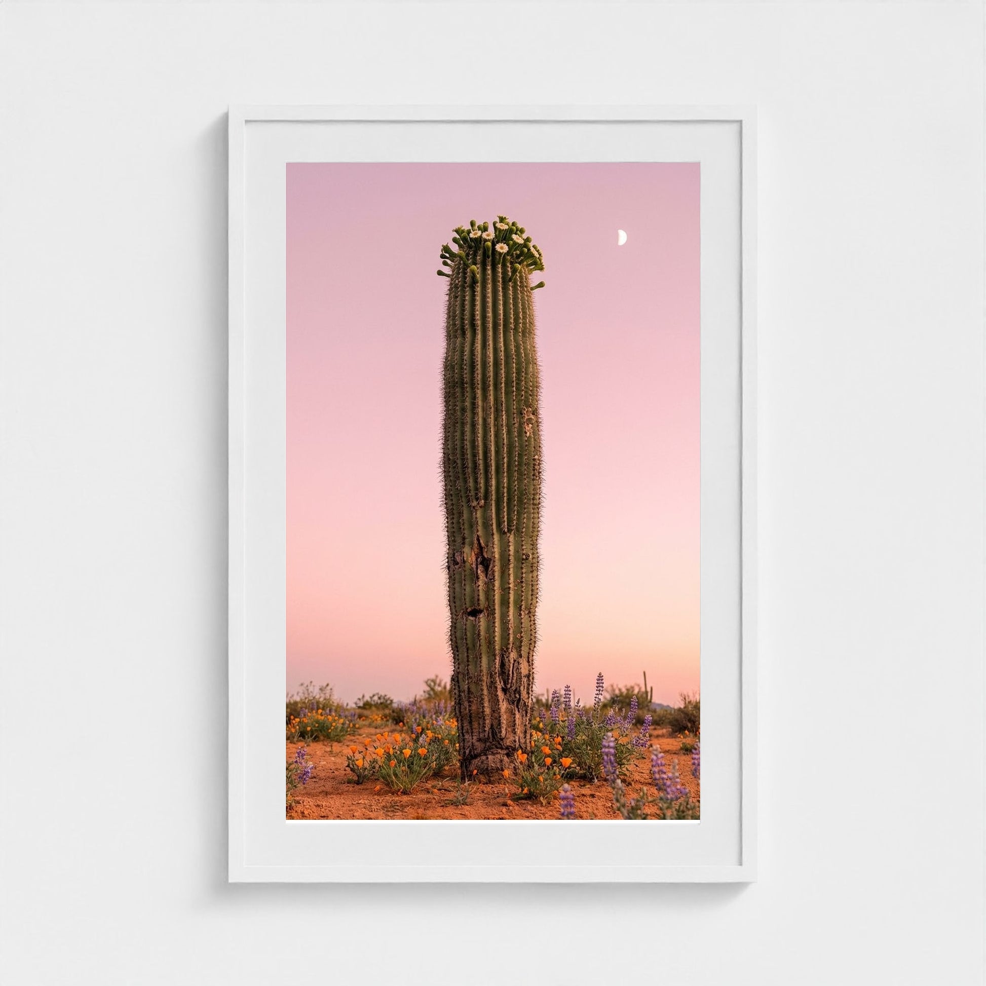 cactus-pink 24x36-white frame frame