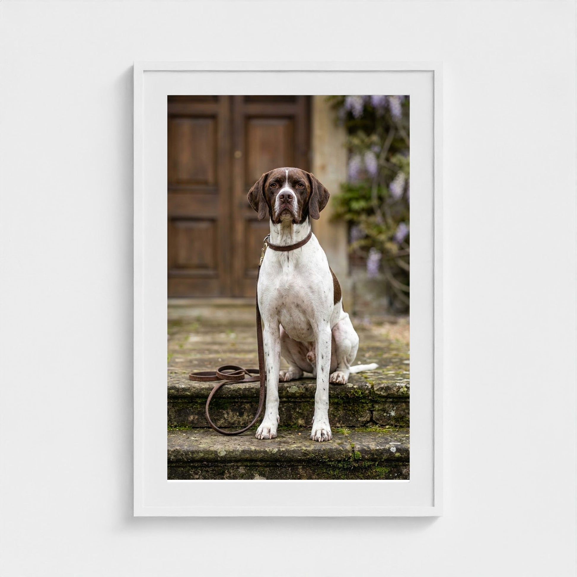 estate-hound 24x36-white frame frame
