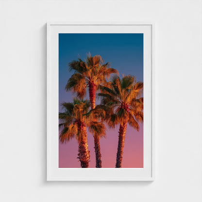 palm-trees-against-sunset-gradient-sky-minimal-f 24x36-white frame frame