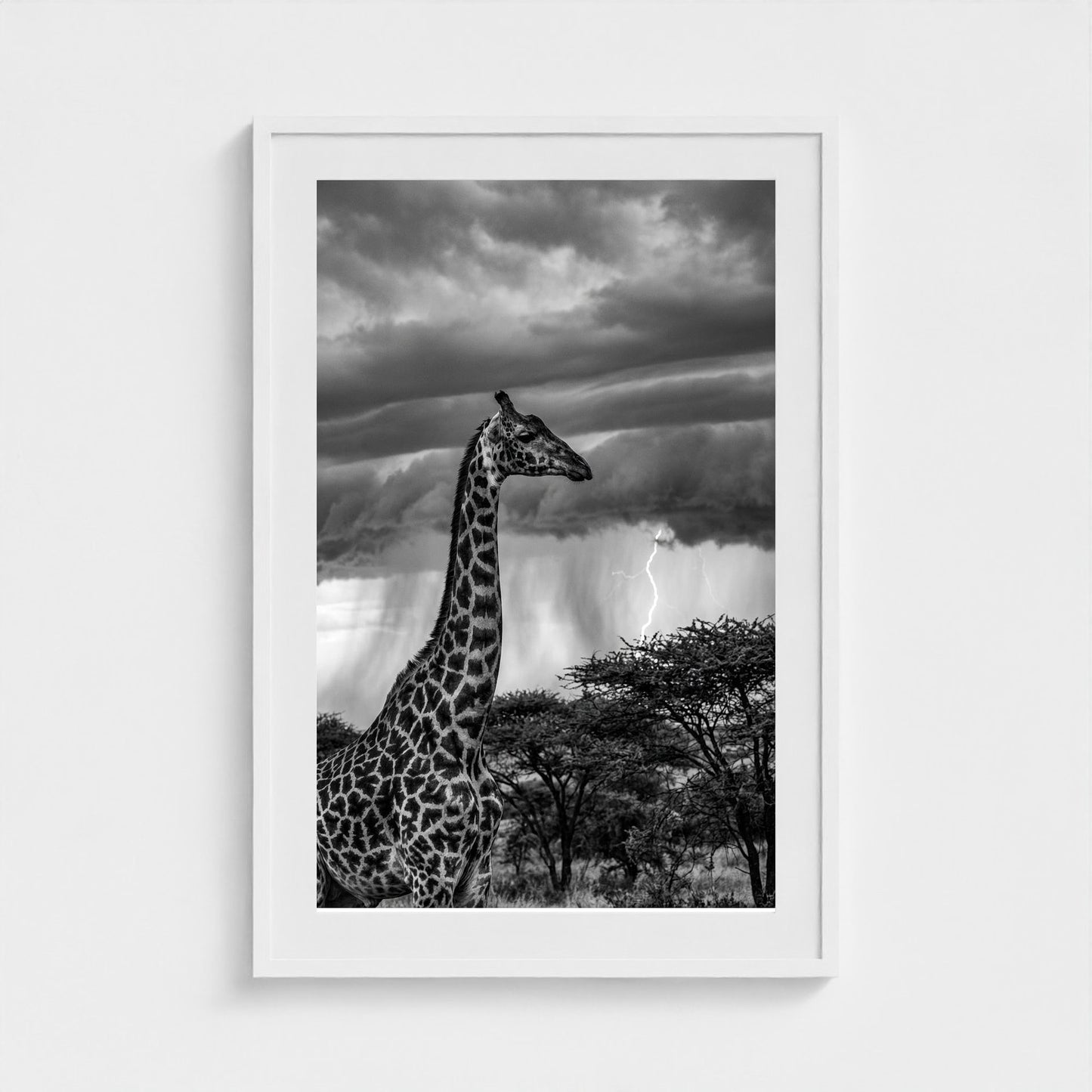 lone-giraffe 24x36-white frame frame