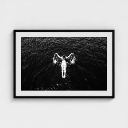 bw-open-water 36x24-black frame frame