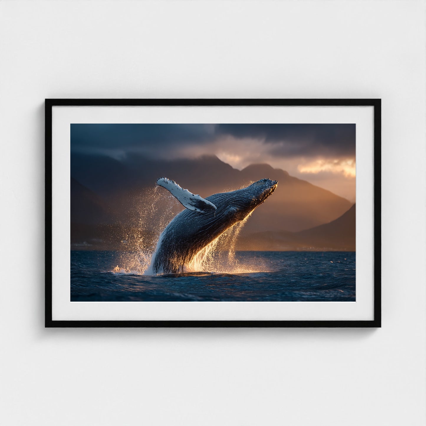 humpback-whale-breaching-at-golden-hour-backlit 36x24-black frame frame