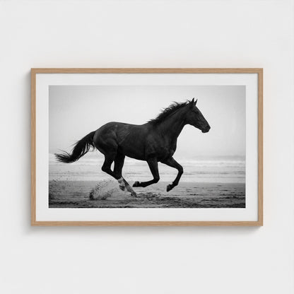 morning-gallop 36x24-natural frame frame