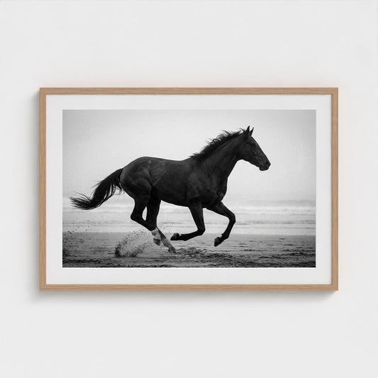 morning-gallop 36x24-natural frame frame