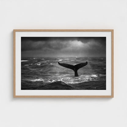tail-fluke-against-stormy-sea-rain-sheets-and-wh 36x24-natural frame frame