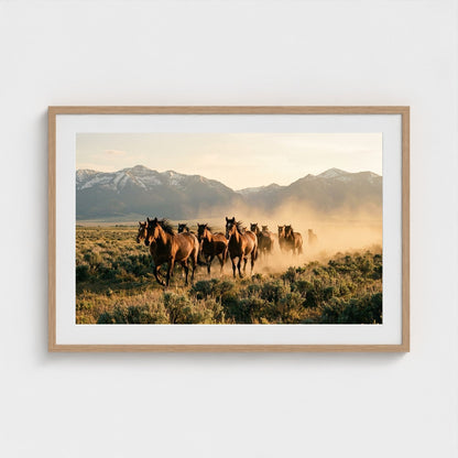 stampede 36x24-natural frame frame