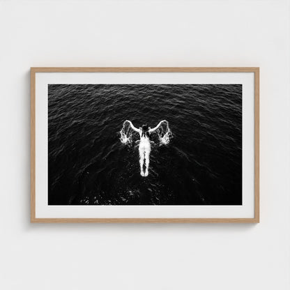 bw-open-water 36x24-natural frame frame
