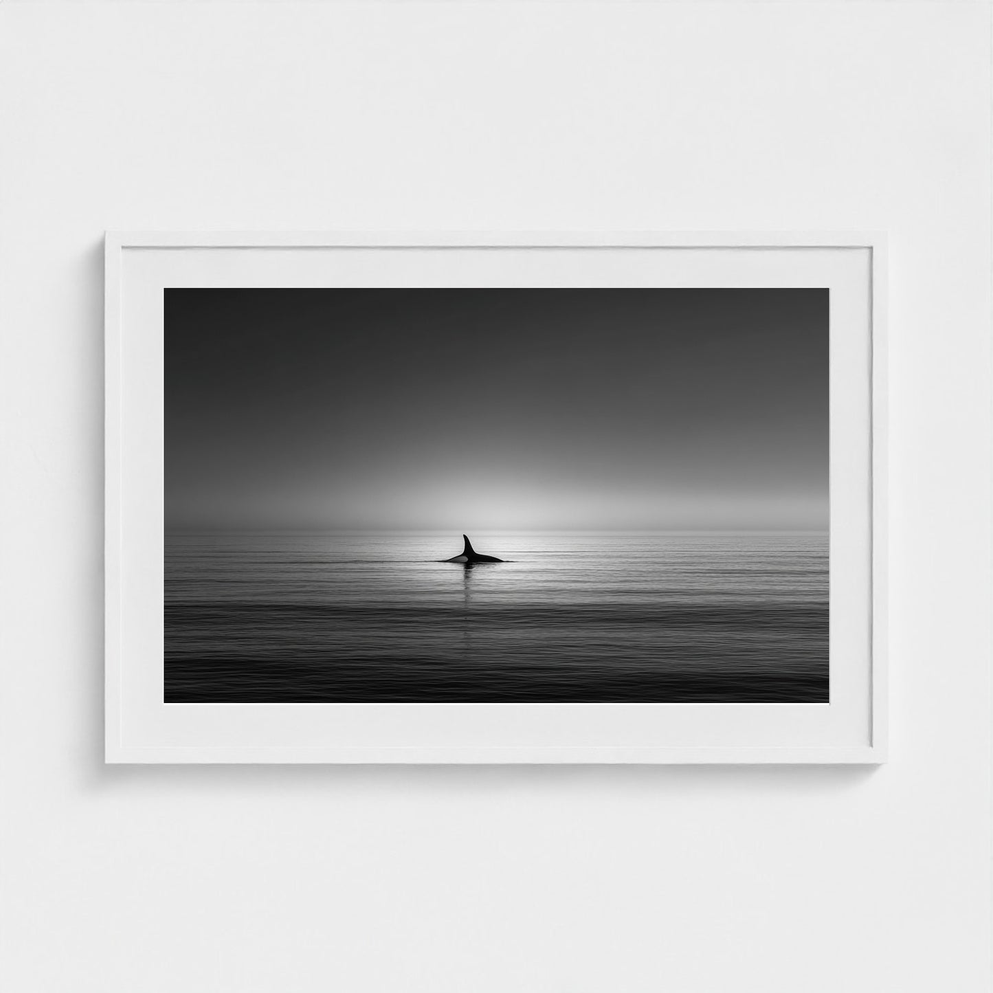 minimalist-negative-space-composition-lone-whale 36x24-white frame frame