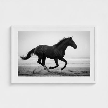 morning-gallop 36x24-white frame frame