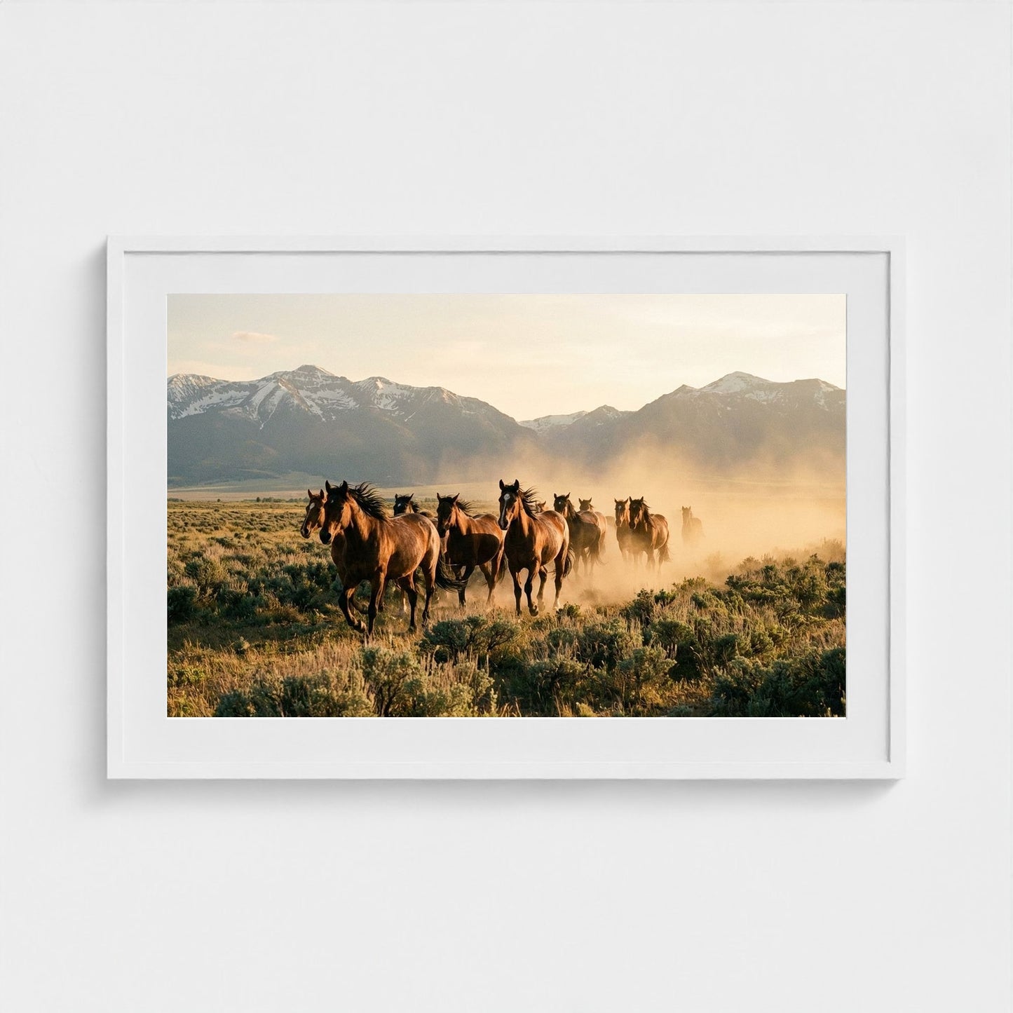 stampede 36x24-white frame frame
