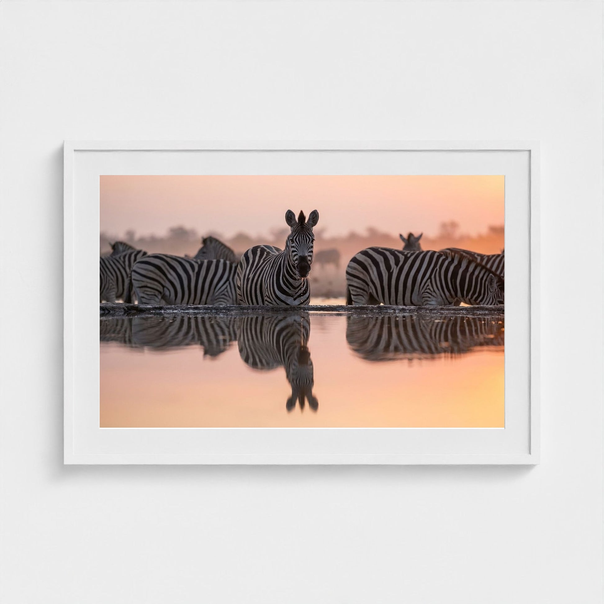 watering-hole 36x24-white frame frame